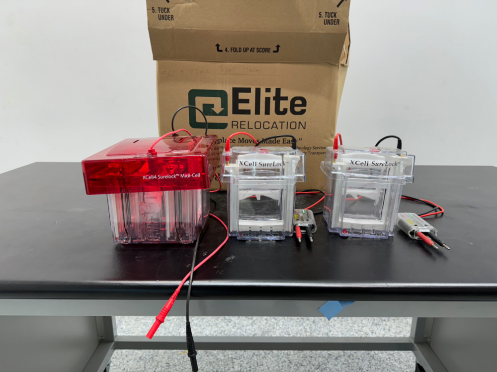 Image of Thermo Fisher Scientific XCell SureLock™ Mini and Midi Gel Electrophoresis Systems - Quantity 8